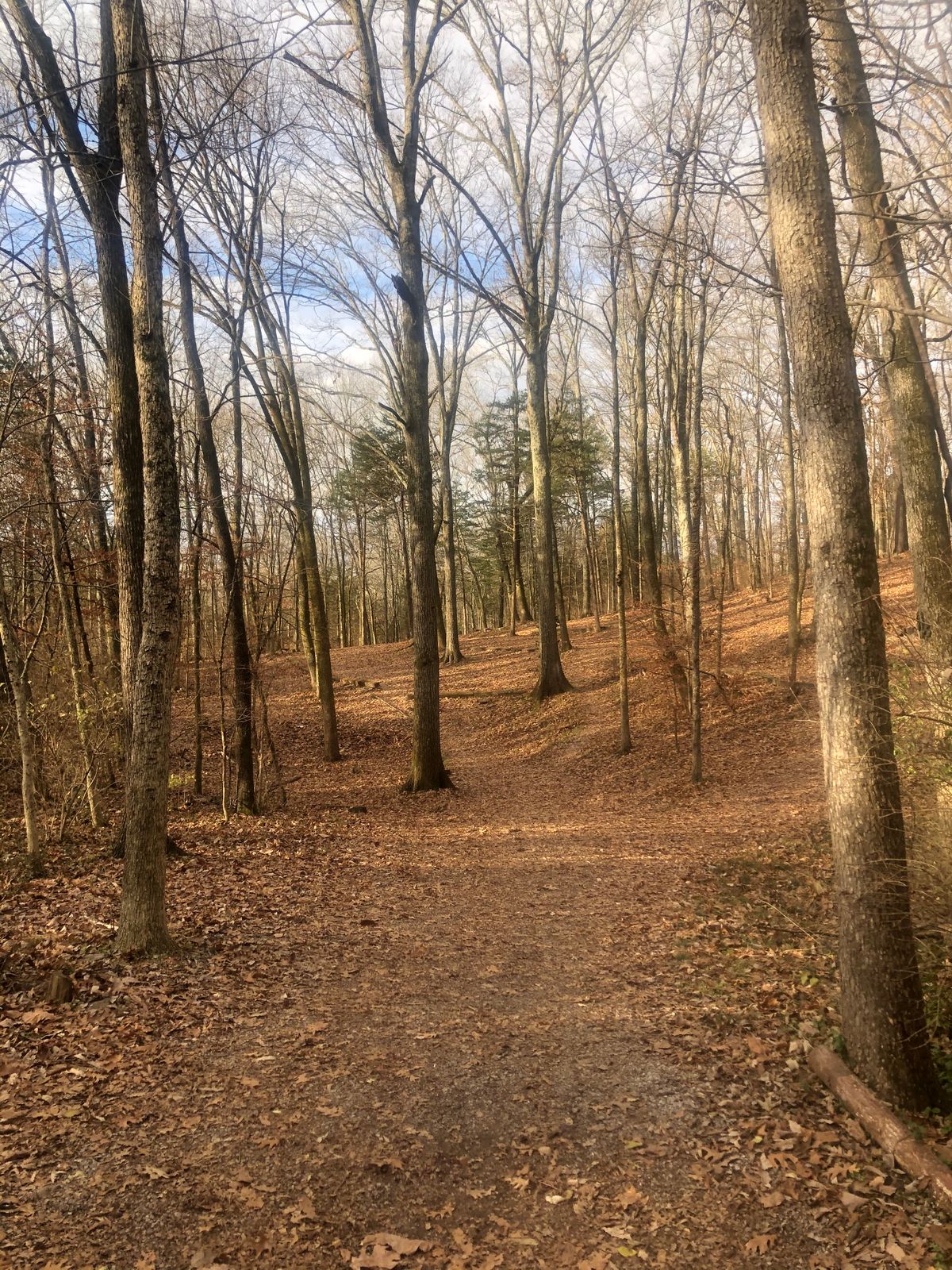 Hole 5