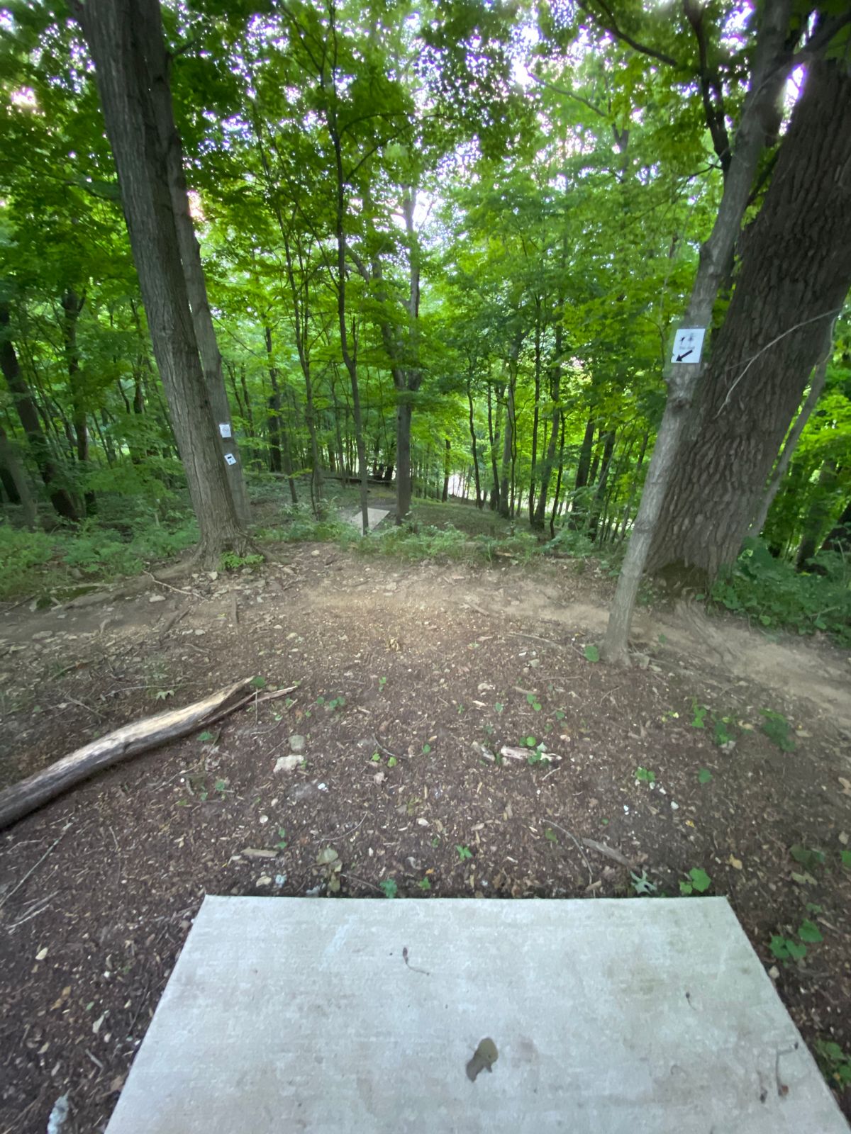 Hole 6 long tee straight down. Net to protect discs going into stream by basket