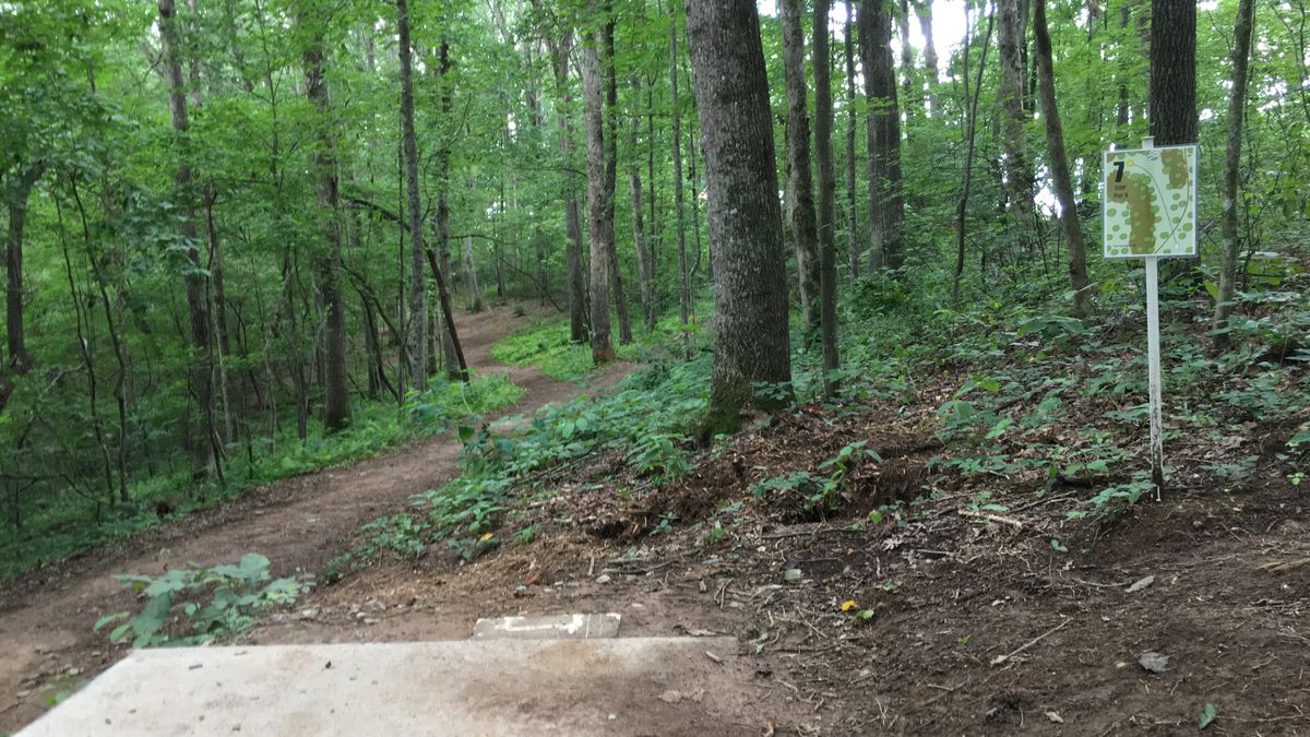Hole 7