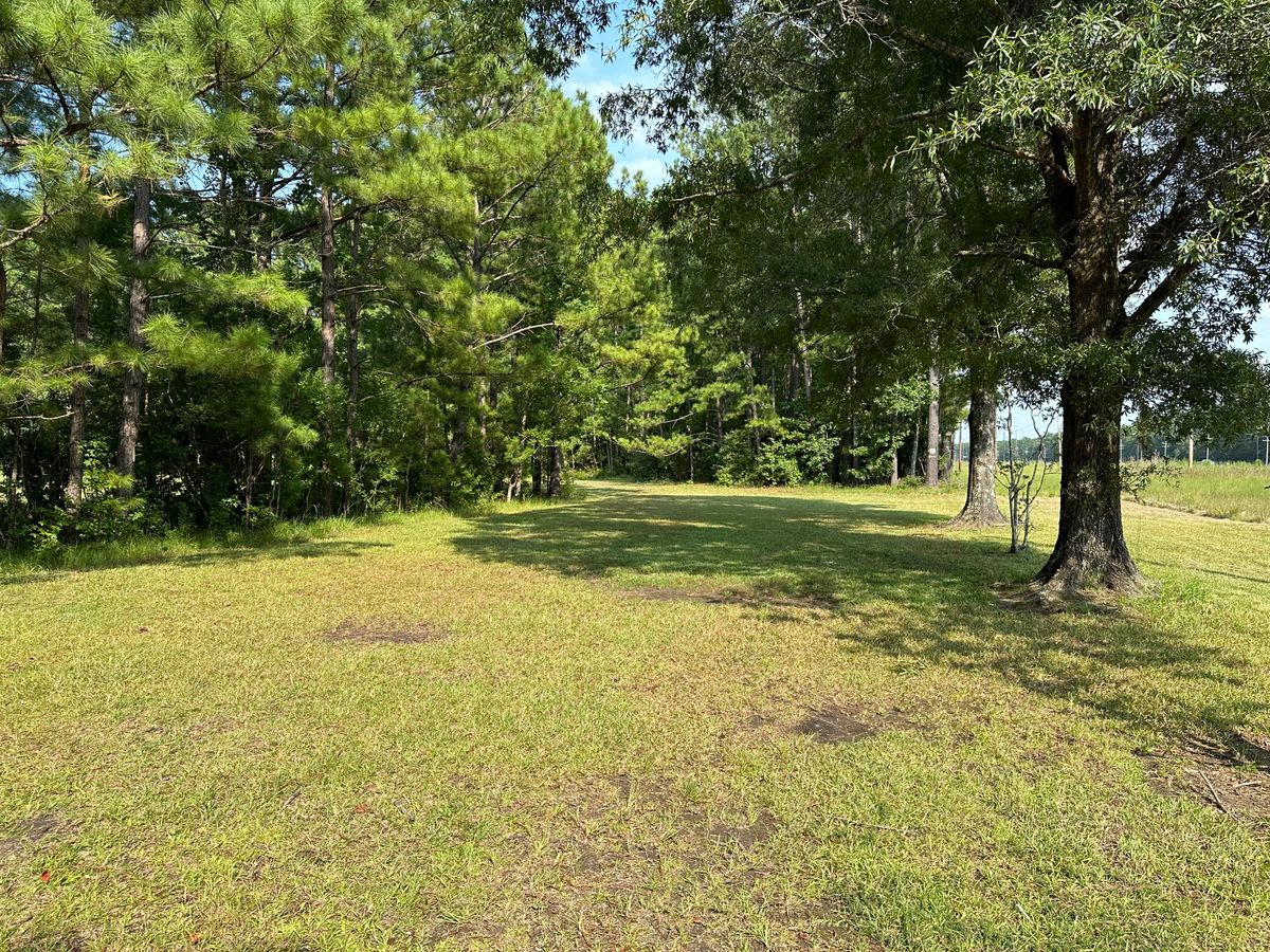 Hole 7 Fairway