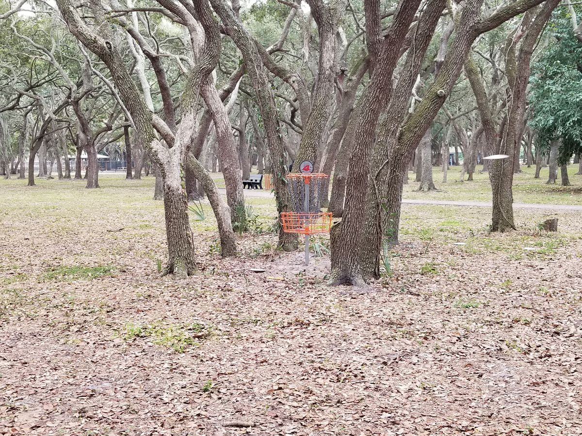 Guardian Tree's