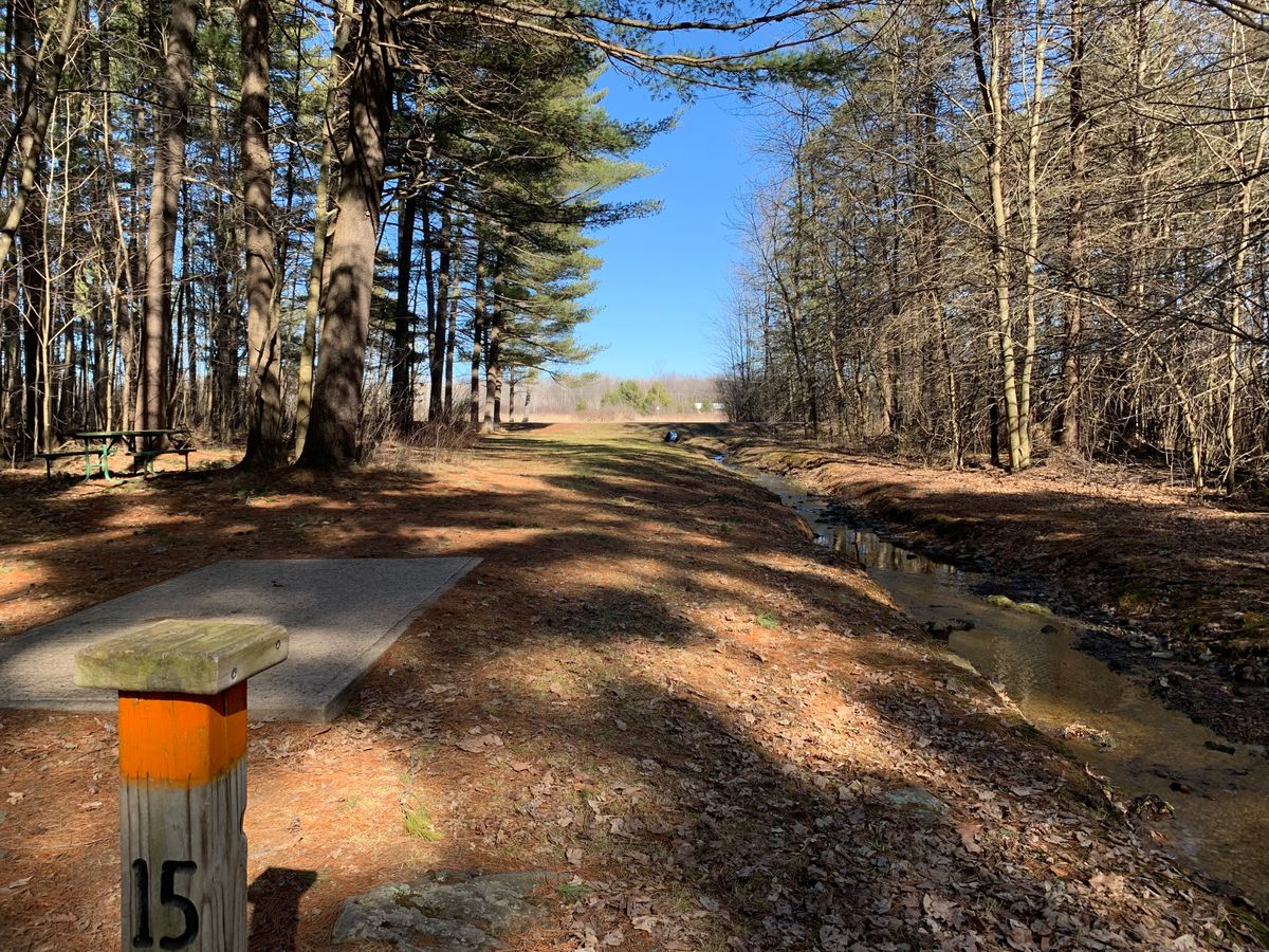 Hole 15 short tee