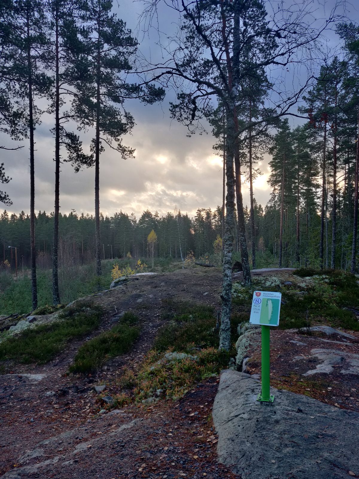 Par 4 
175 m.