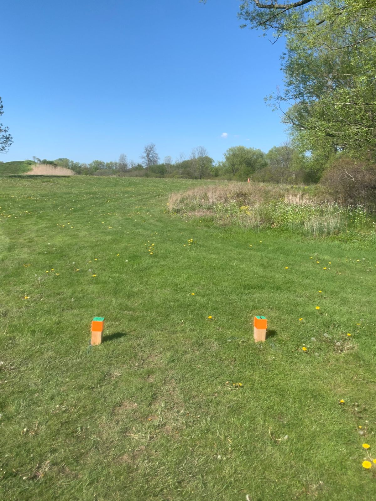 Hole 1 tee box