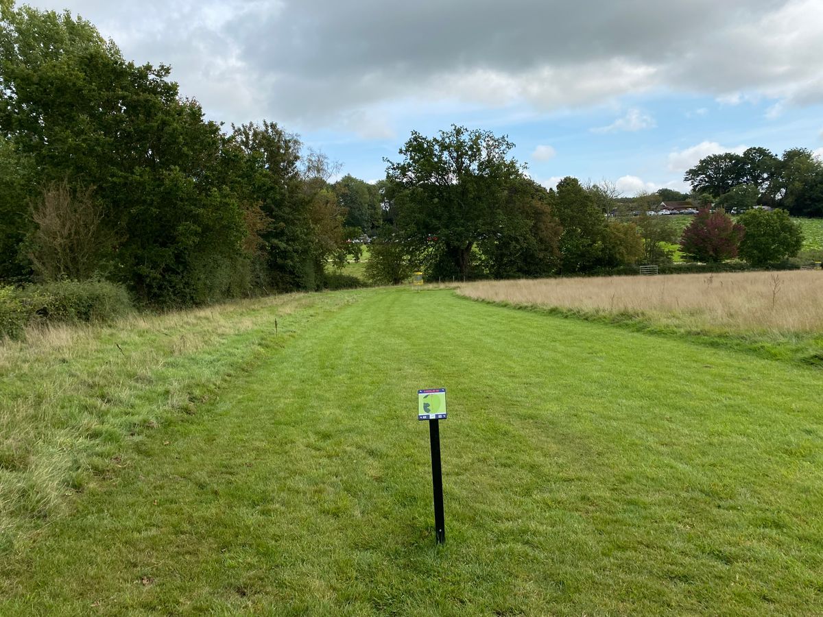 Hole eight short tee