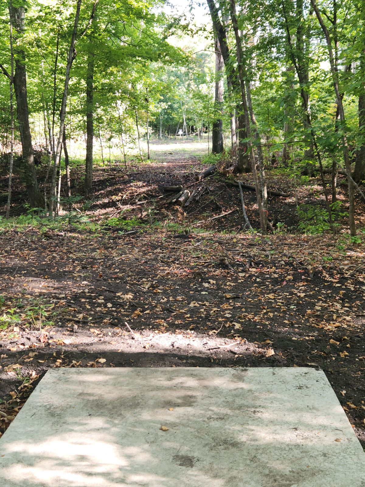 9 tee to basket