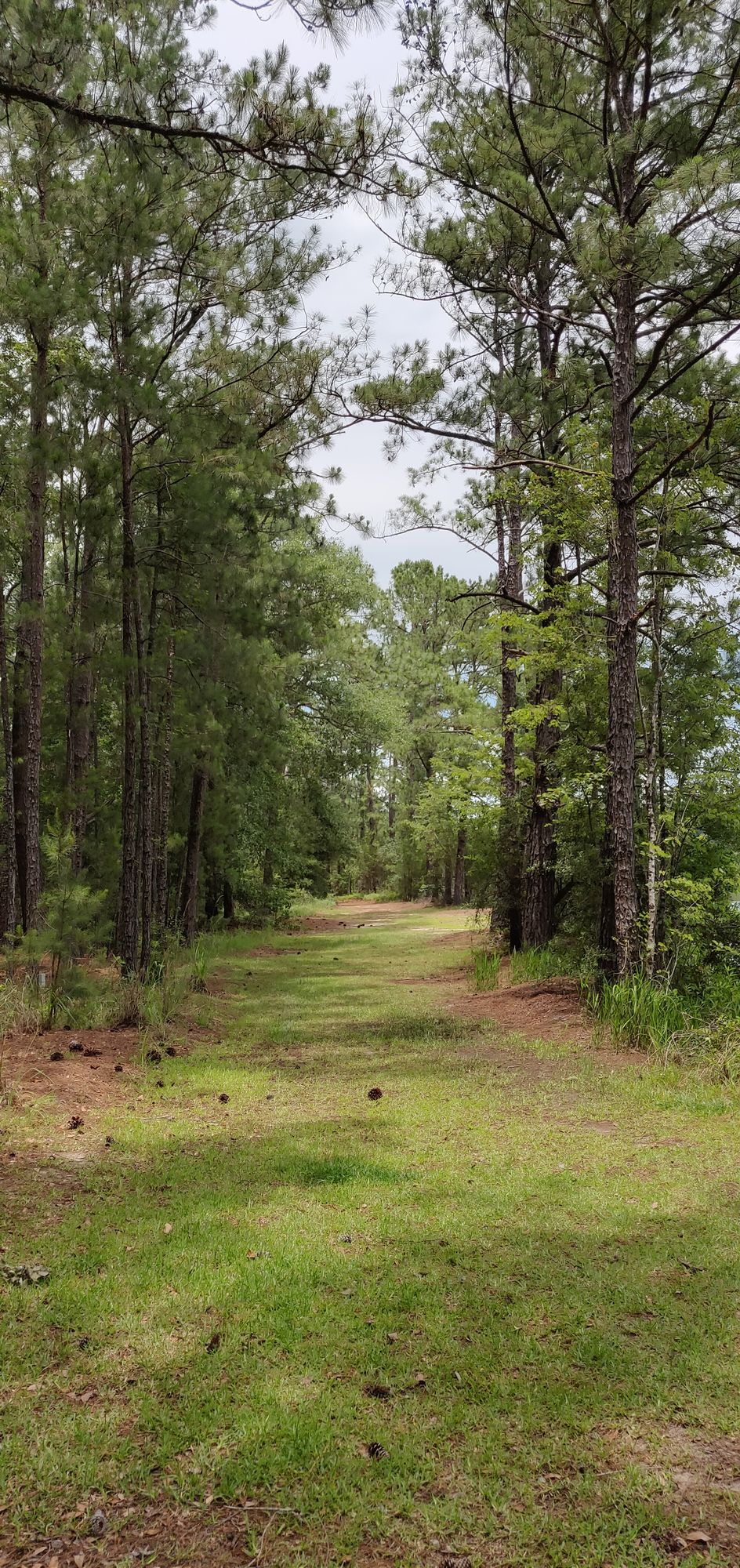 Hole 1