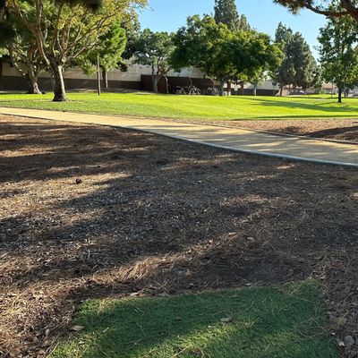 Hole 4
