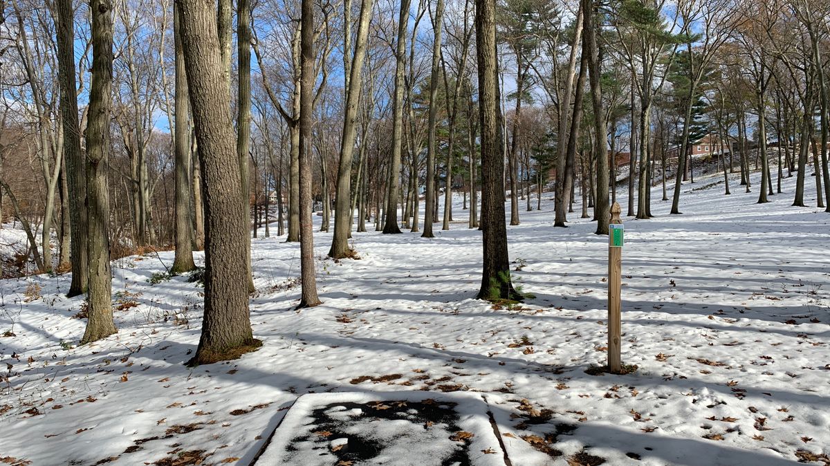 Hole 3