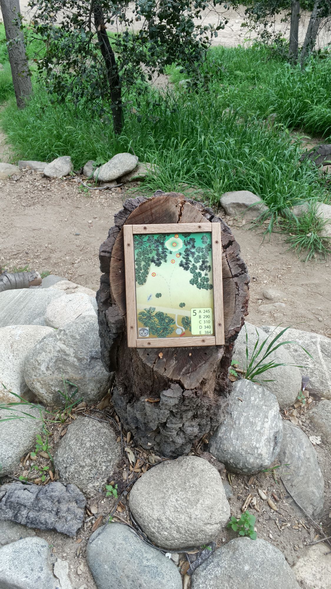 Hole 5