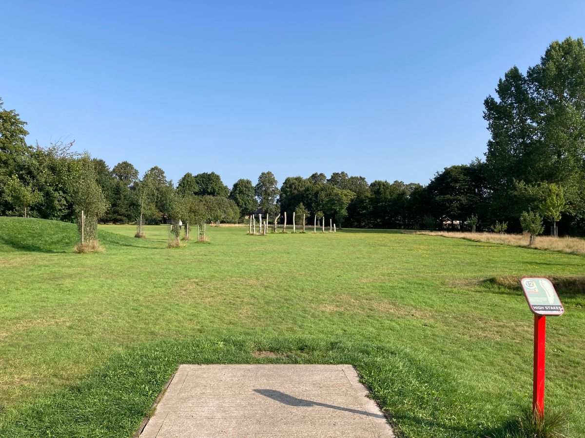 The short tee on #12