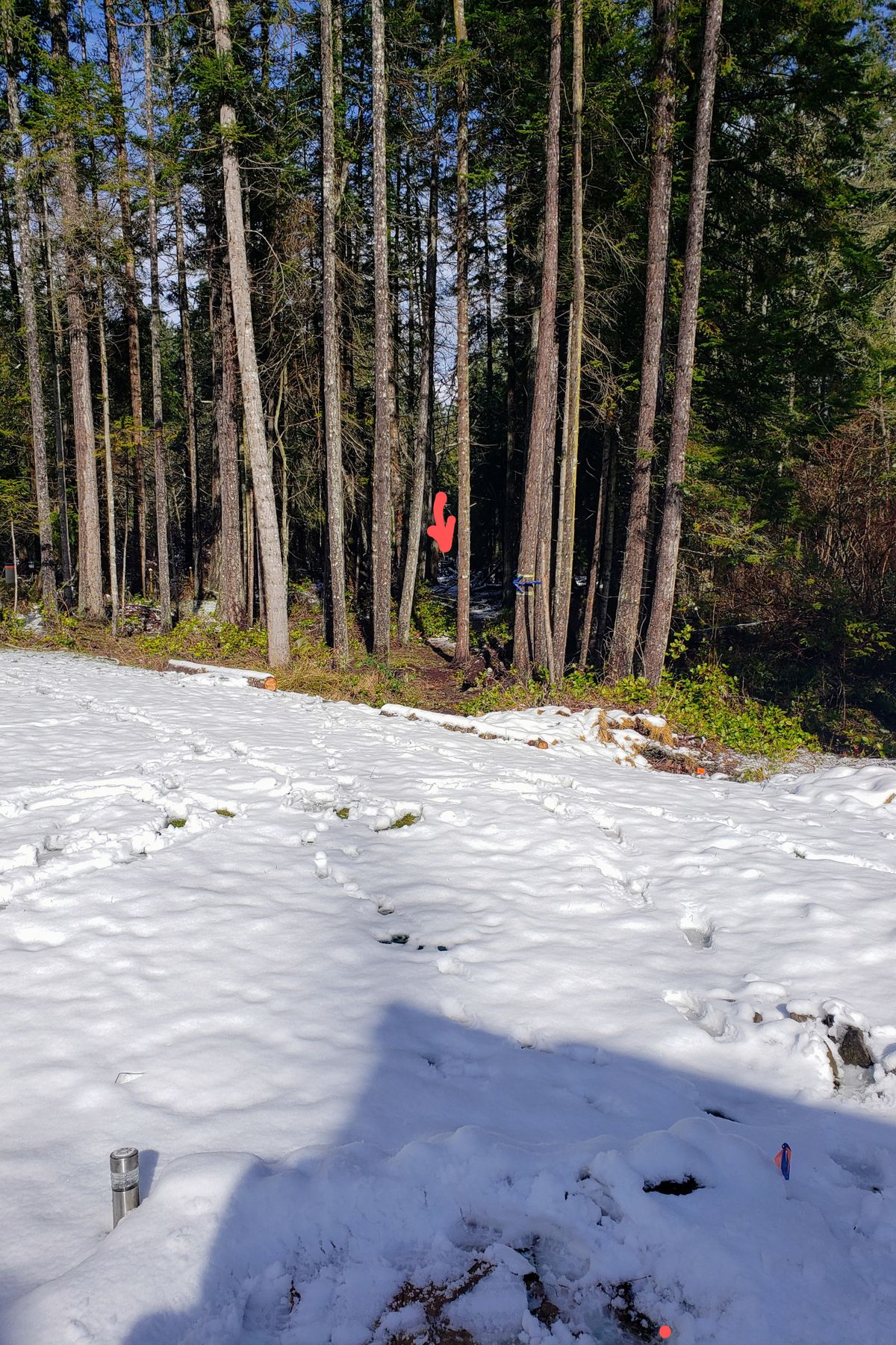 Tight fairway on Hole 2