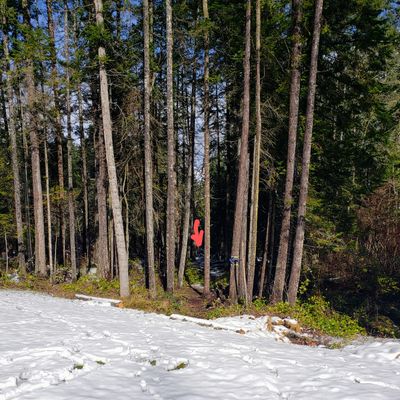 Tight fairway on Hole 2