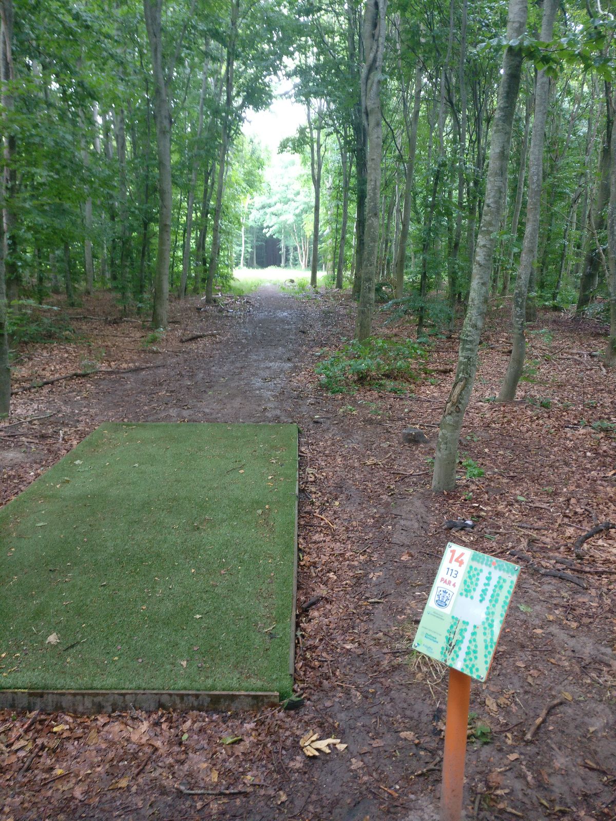Hole 15