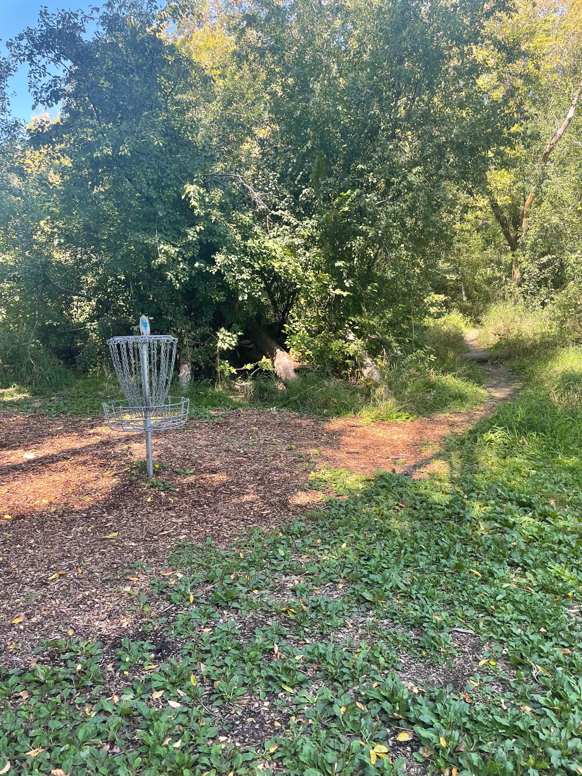 Hole 9 basket, path to hole 10 to right