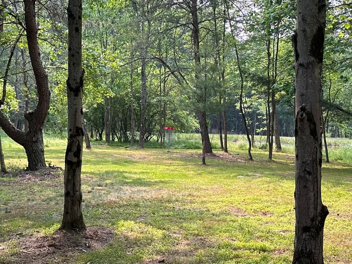 #11 green area.