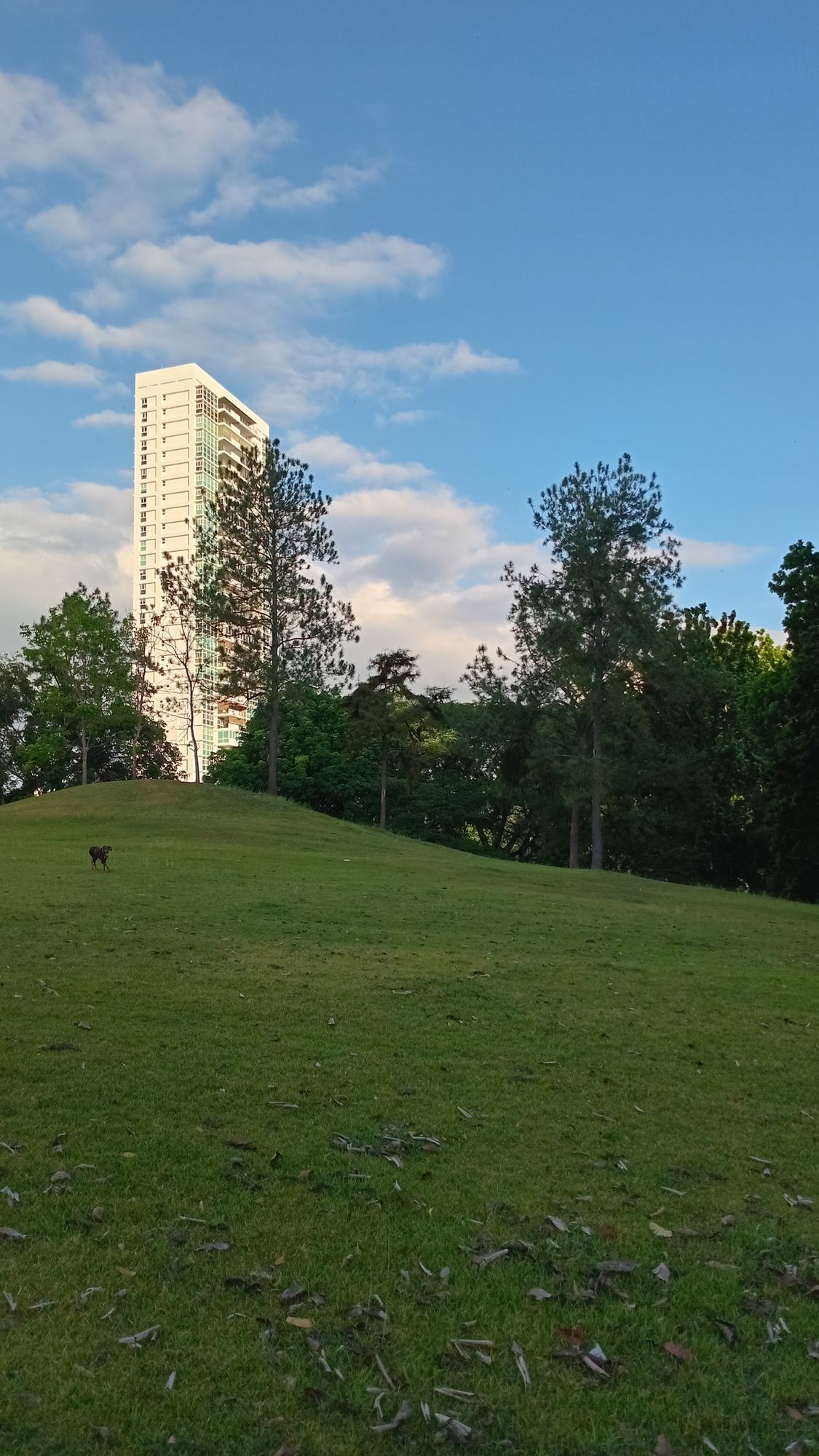 Parque Omar DG Course
Hole 9 Fairway