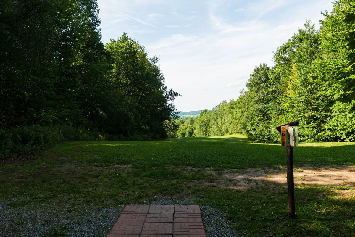Hole 12 gold tee