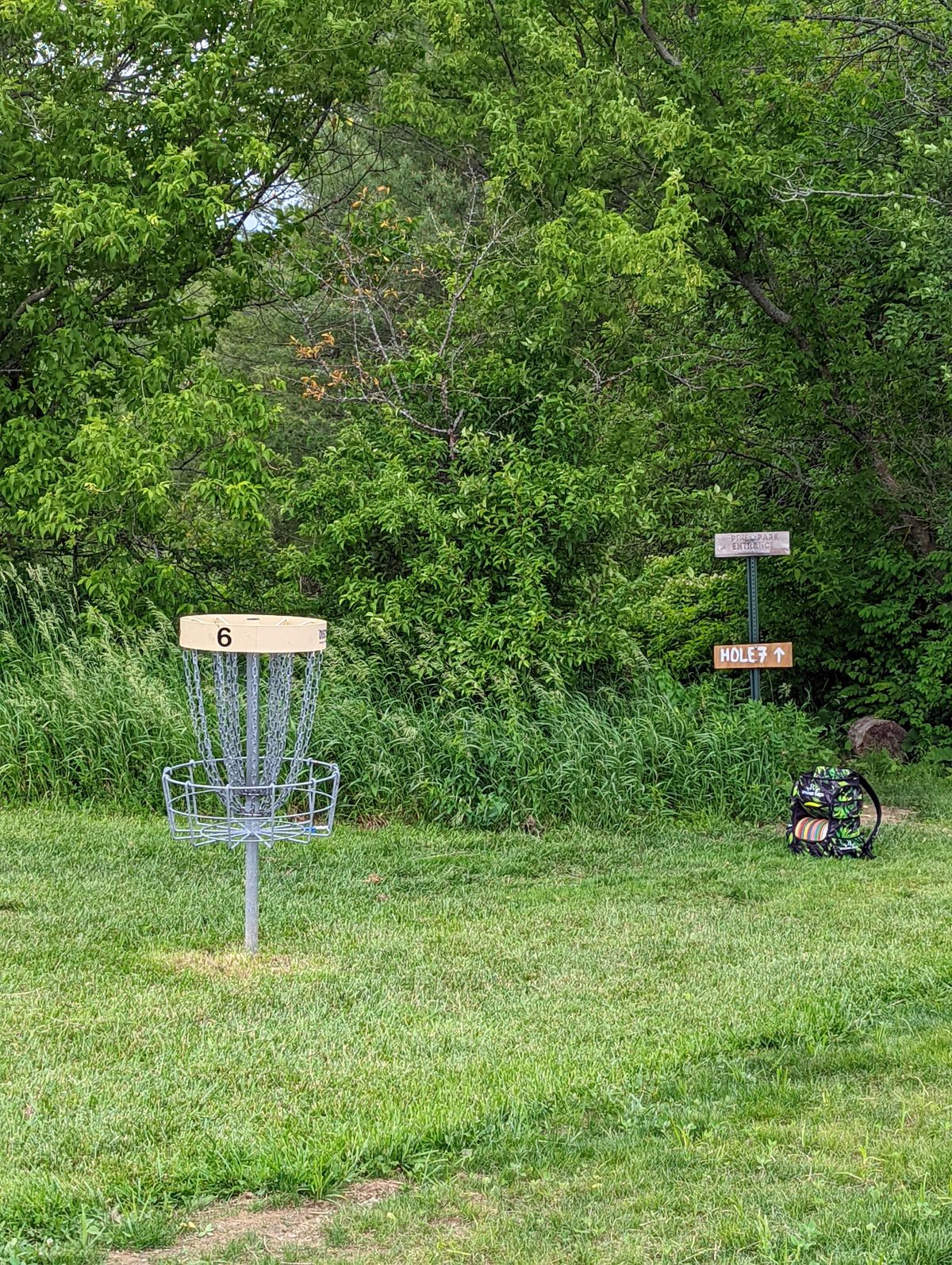 Behind Hole 6 is the path to Hole 7