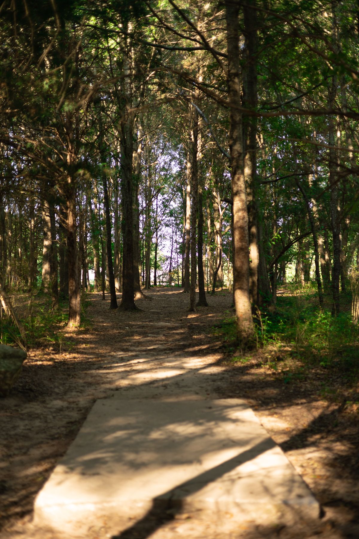 Hole 5