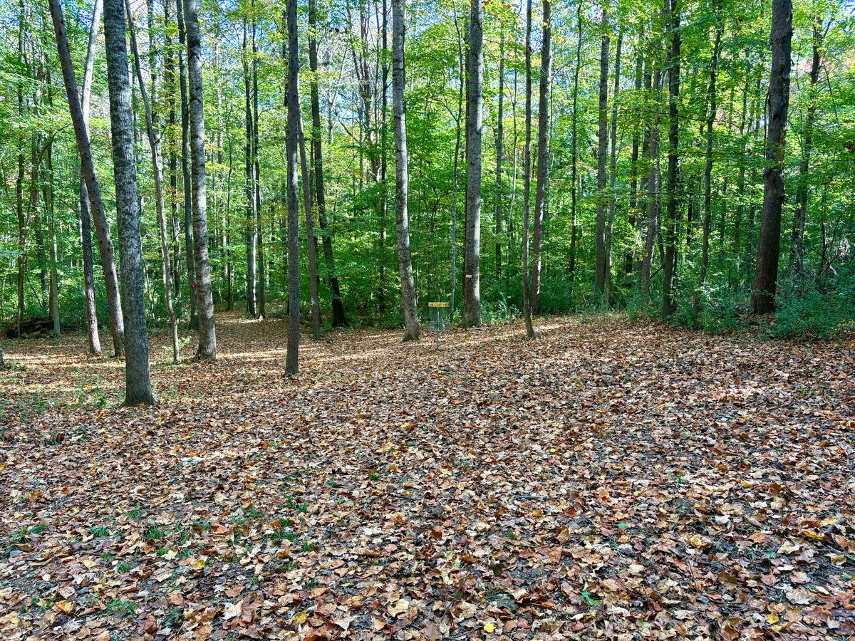 Hole 14 approach