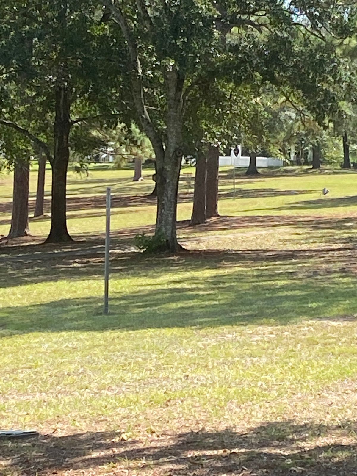 Hole 6