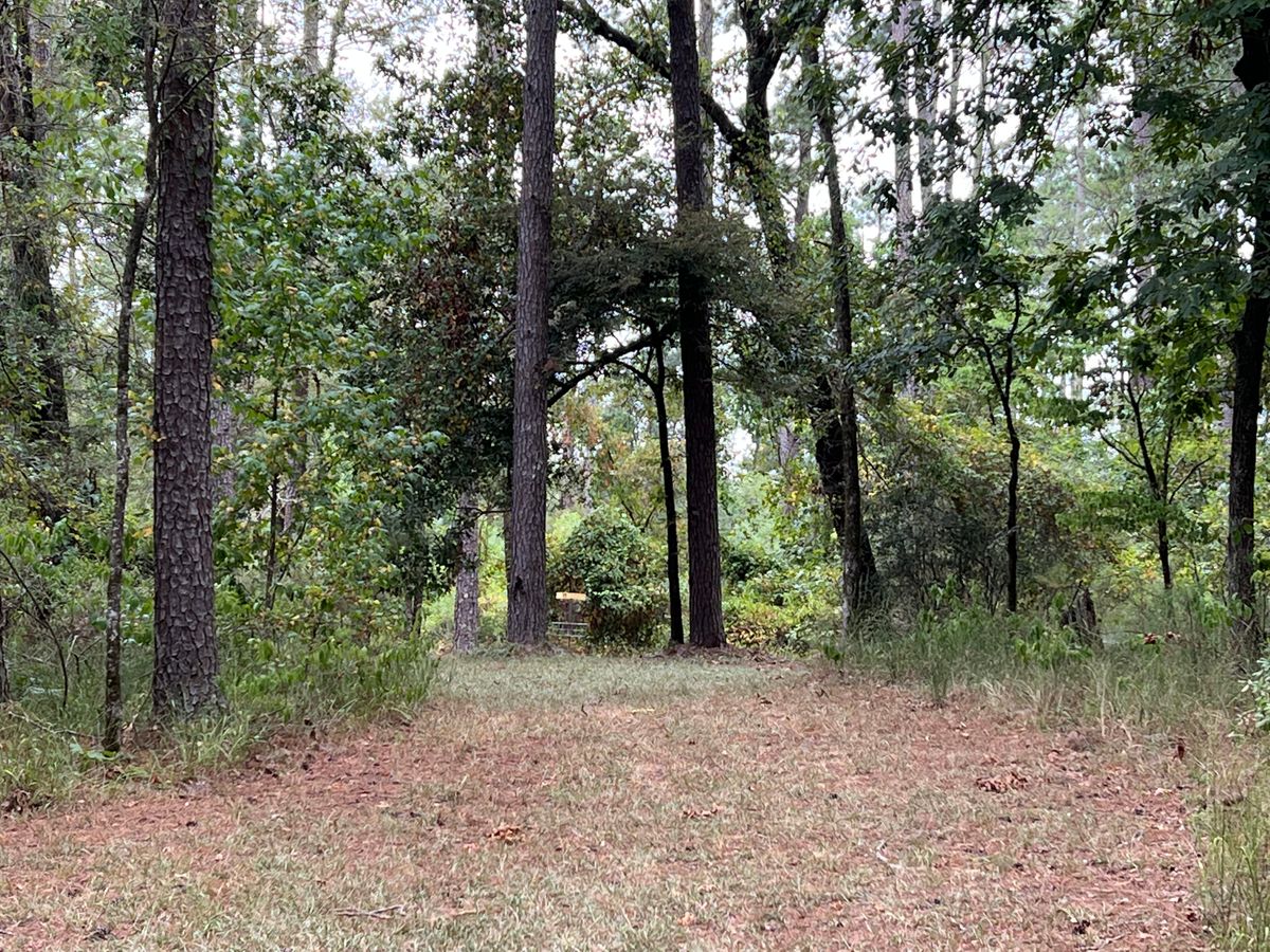 Hole 11 green