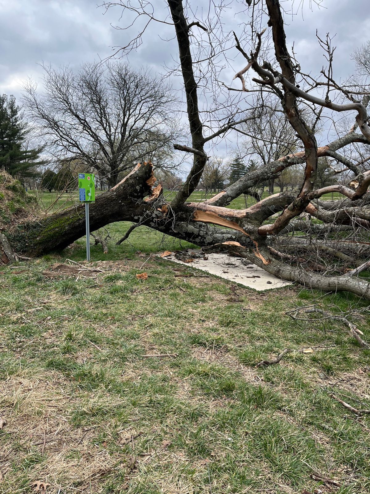 Hole 7 tee box