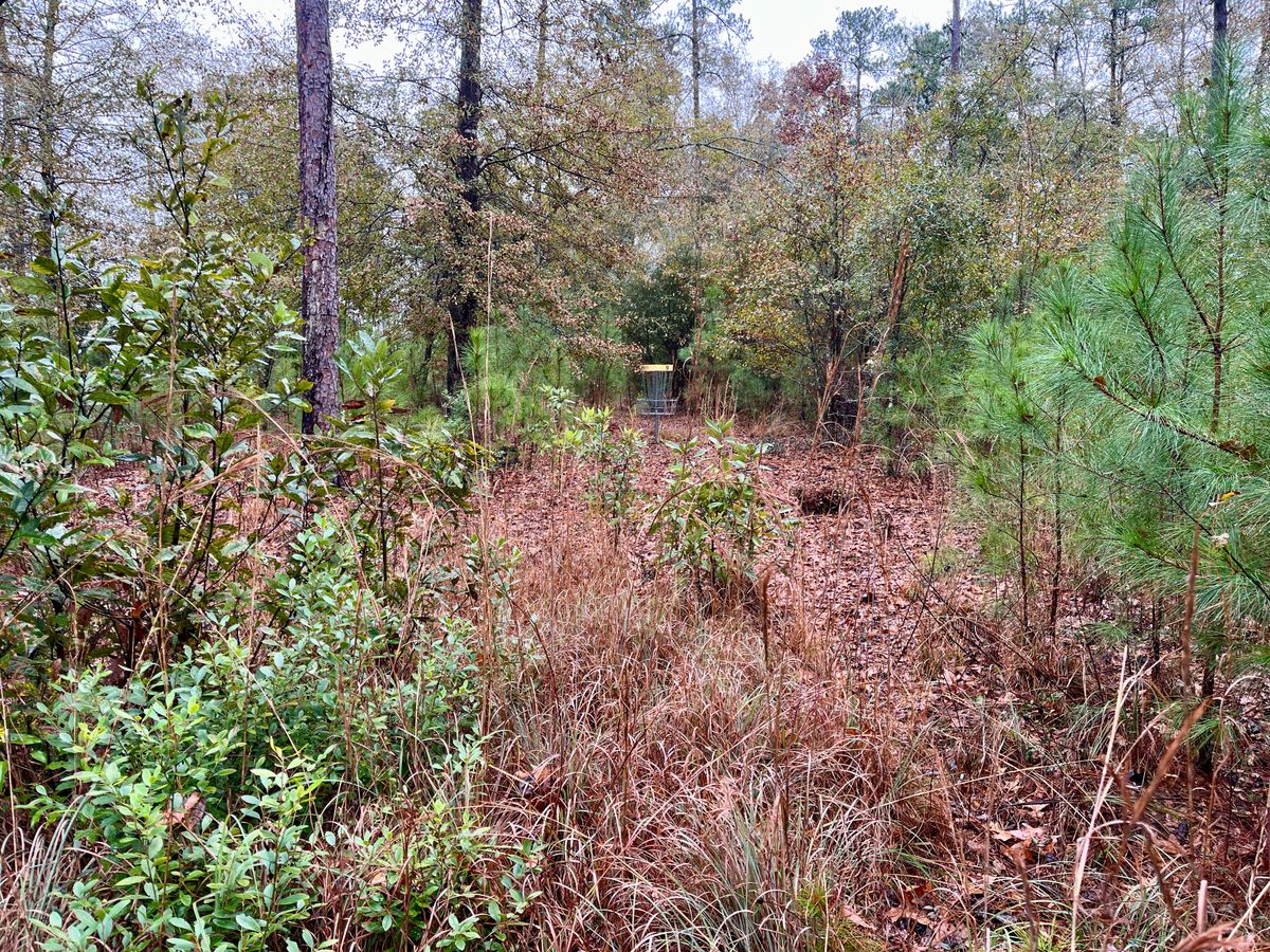 Hole 9 approach