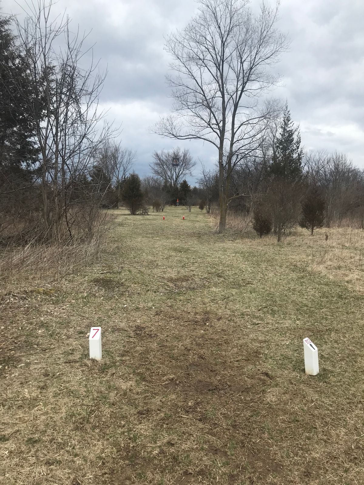 Hole 7