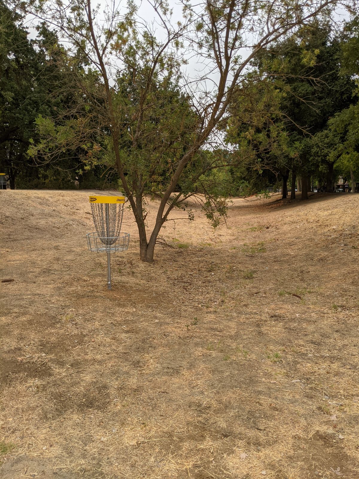 Basket #8 (taken from behind basket)