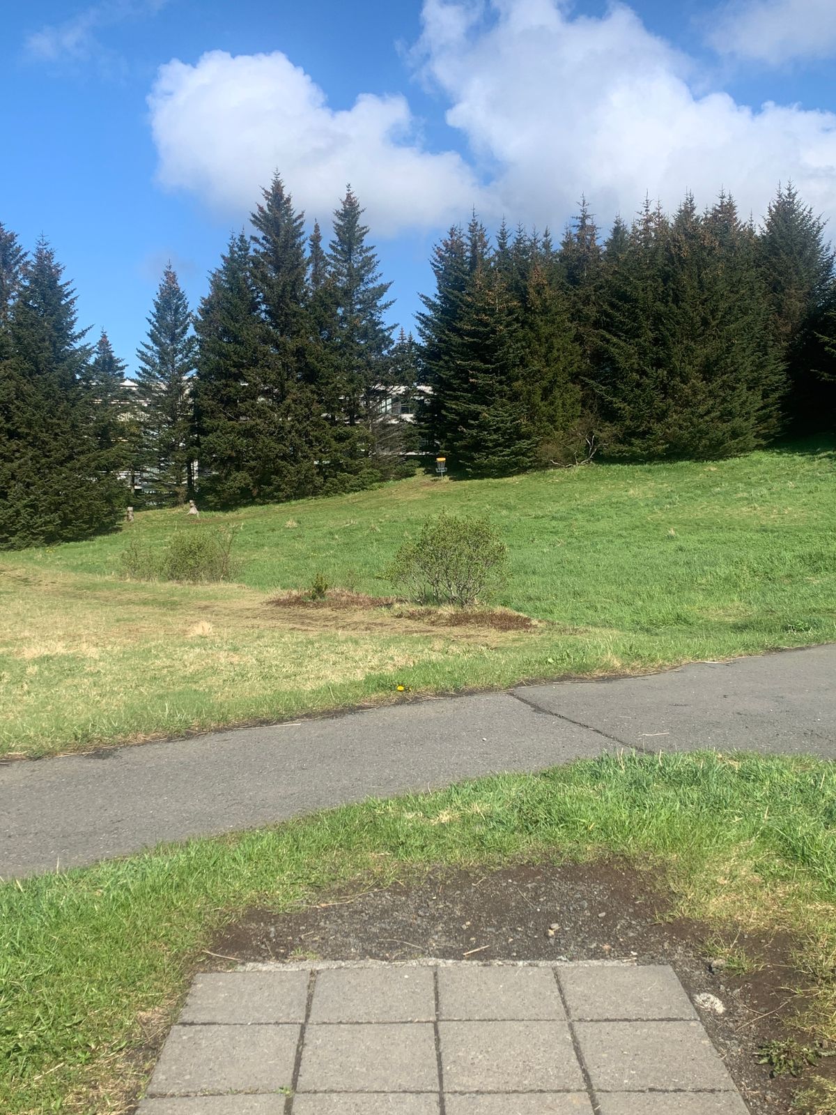 Fairway hole 5