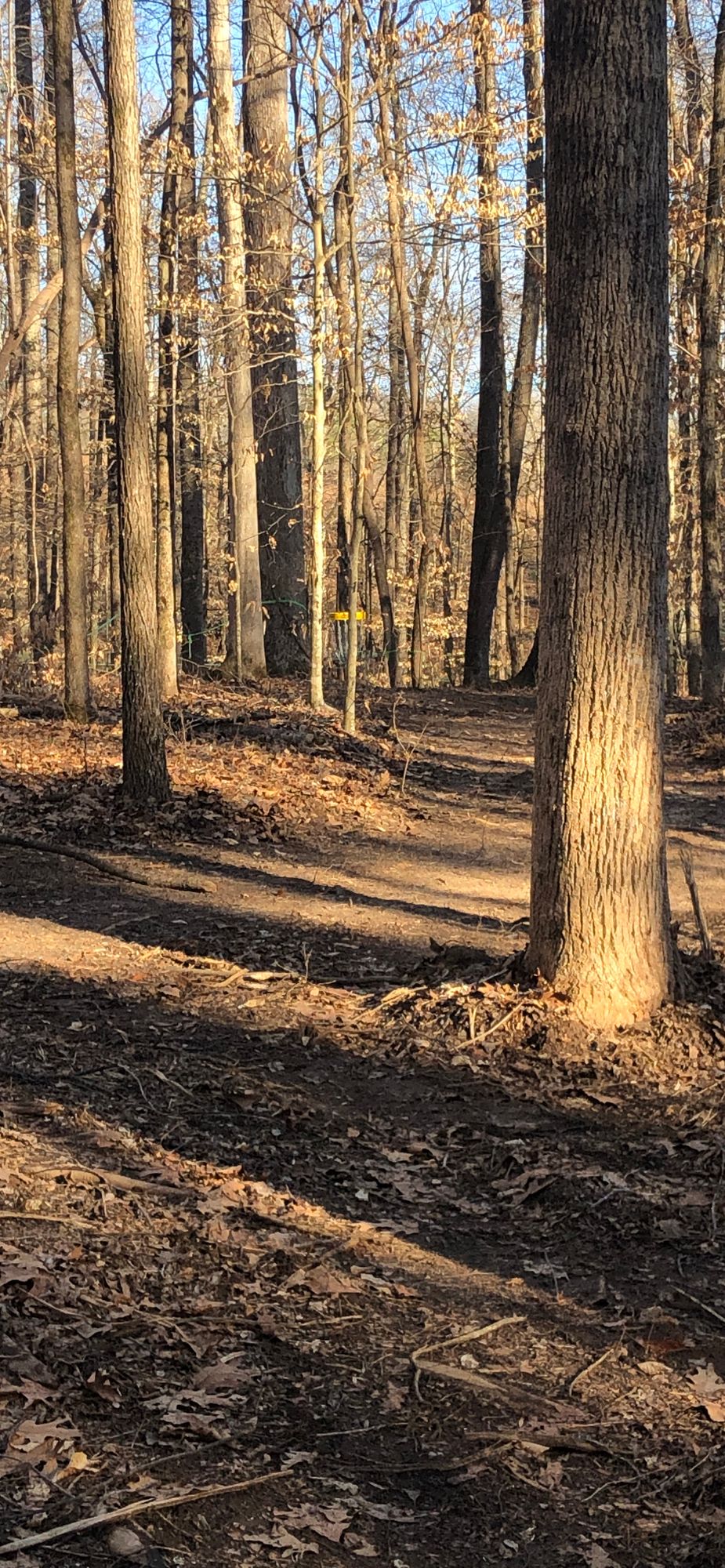 Hole 7 Right side route