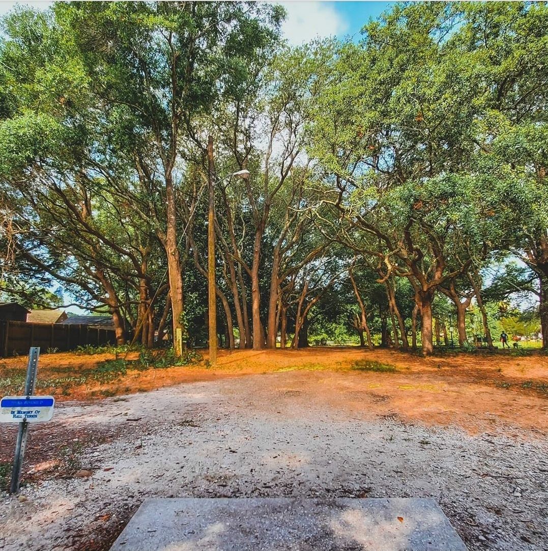 The nice tunnel of trees off #8 pad