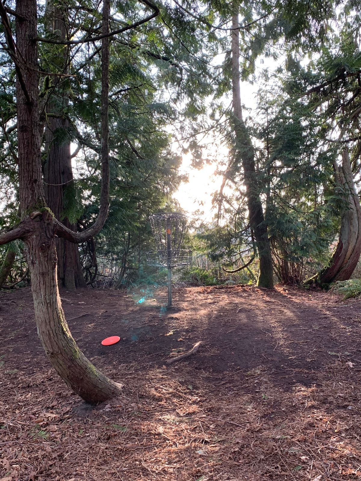 Hole 5