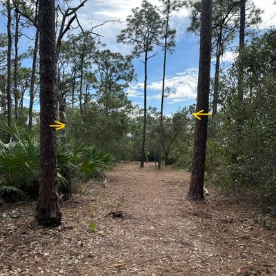 Hole 2 short (dbl mando)