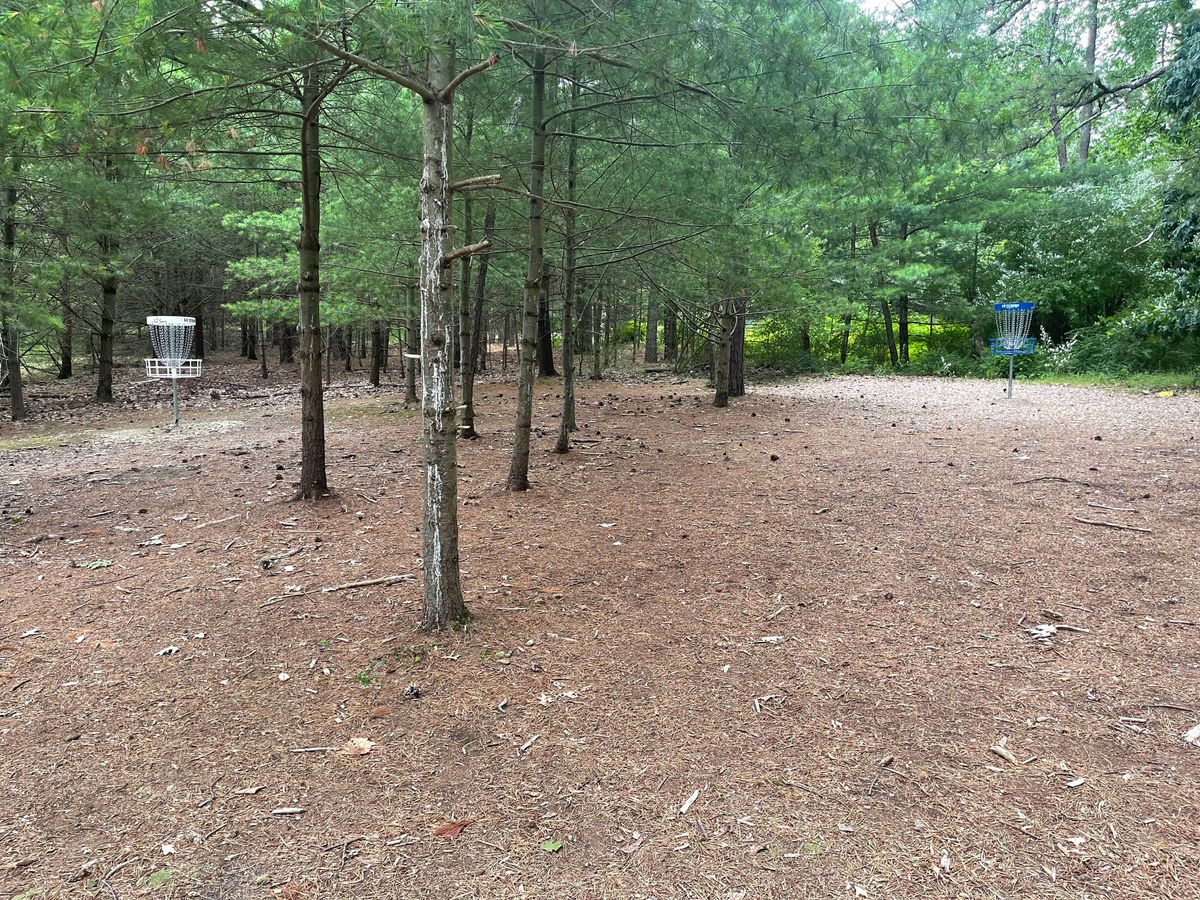 Hole 7s green