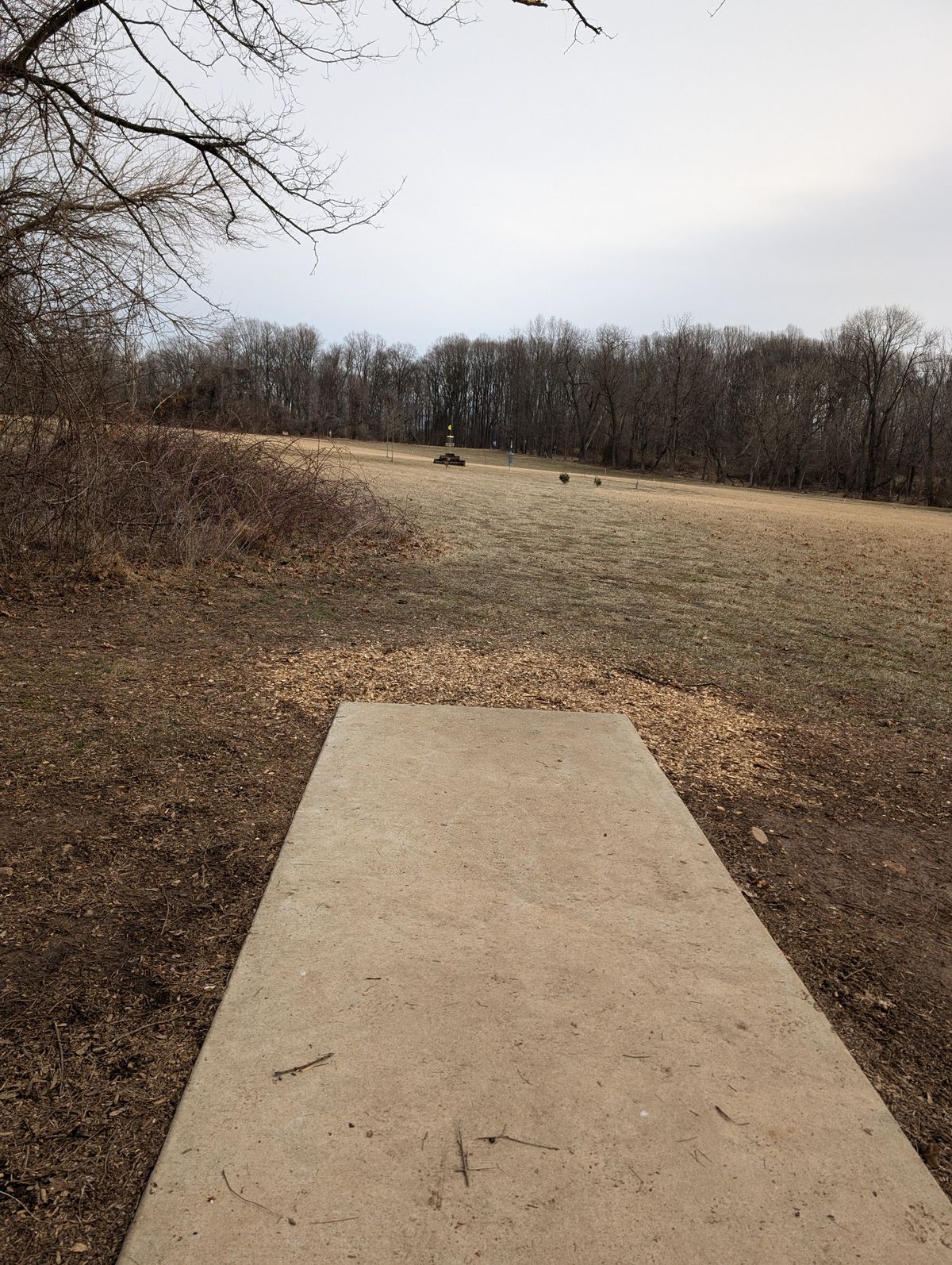 Hole 11 Hole