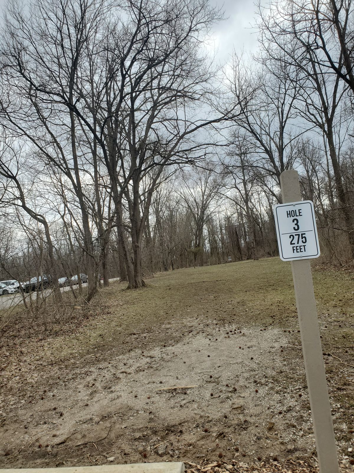 Hole 3 275ft