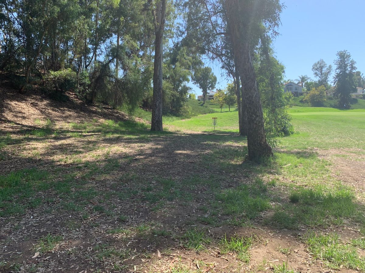Alpha Hole 13