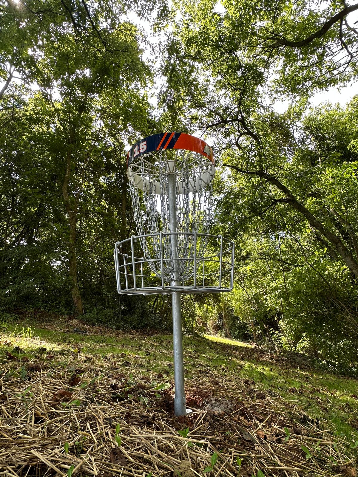 Hole 15 basket