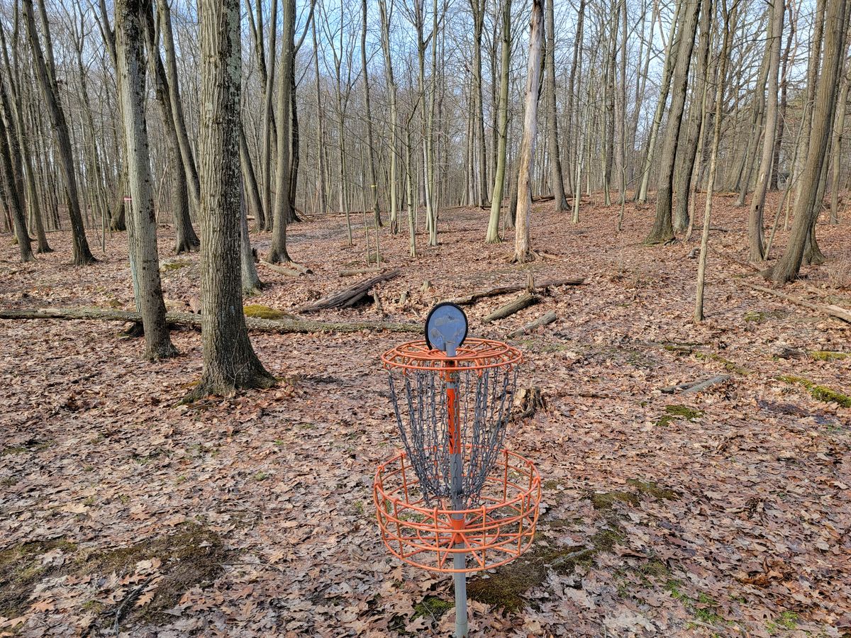 3's green looking back up the fairway