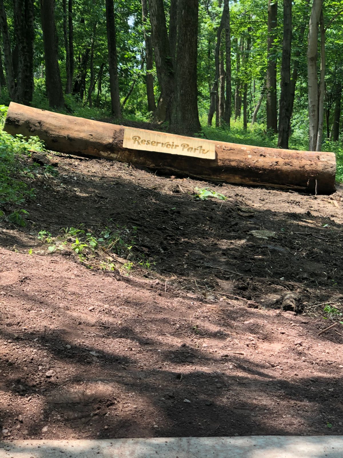 View from the tee on hole 12.