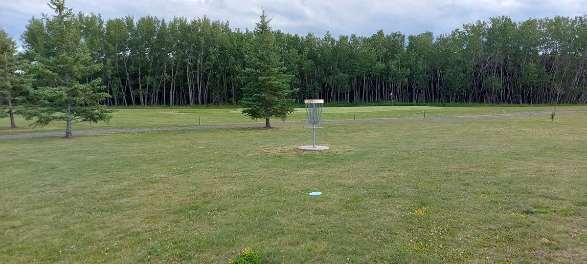 Great potential Disc Golf course needs tee signs and arrows to next basket.