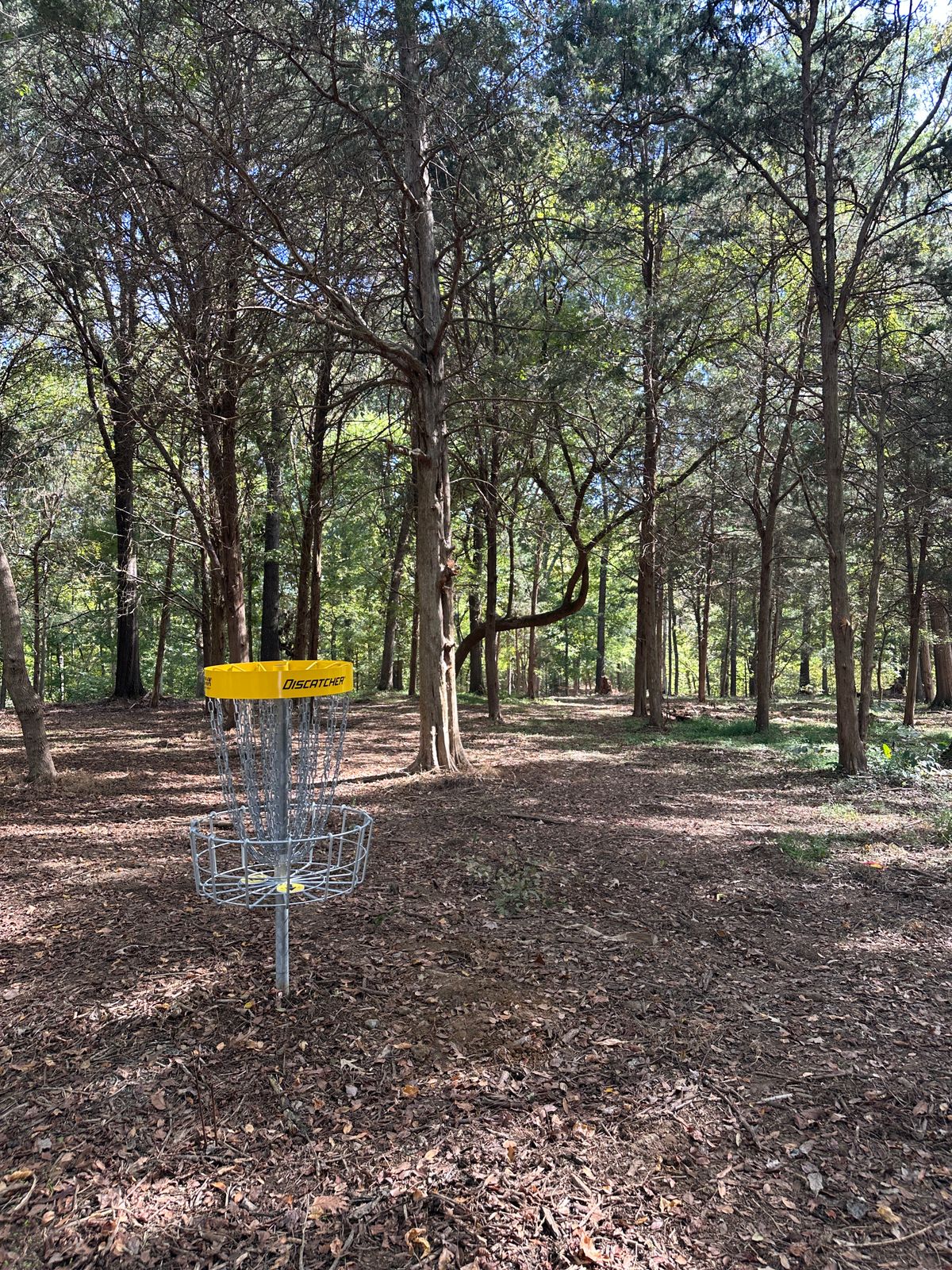 Hole 4 looking back to the tee.