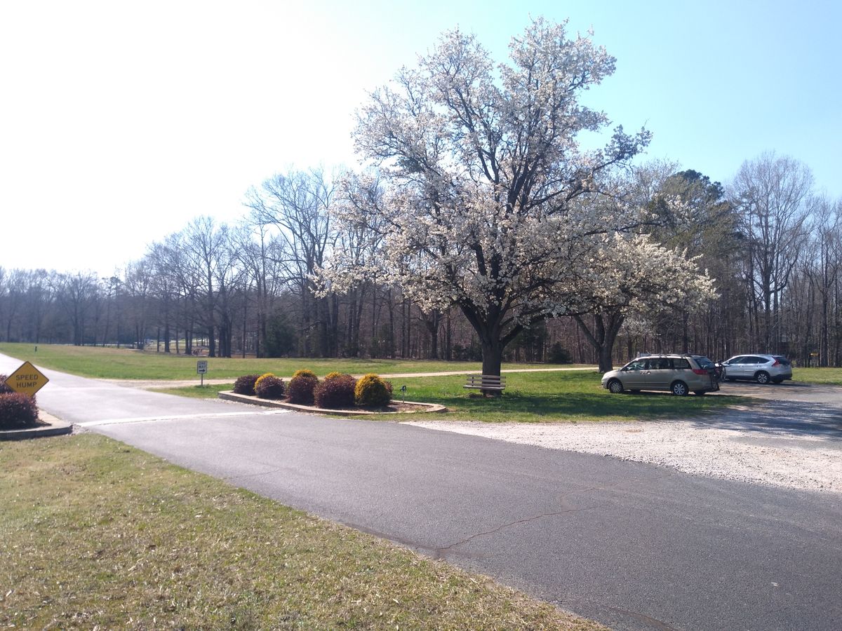 It's a beautiful day to play!
