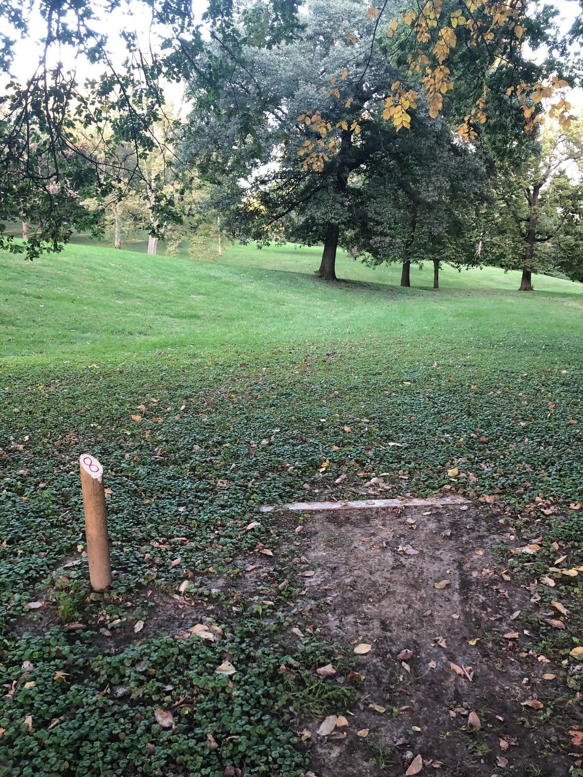 Hole 8 has possibilities, if they would trim up that tree a little.