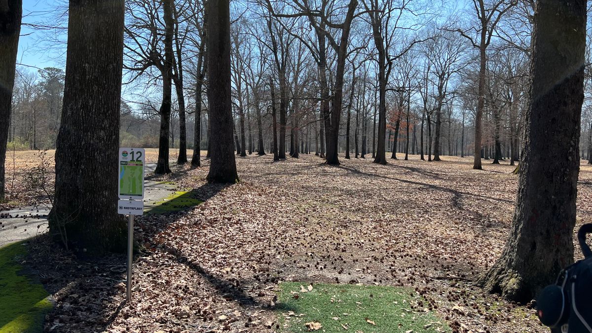 Hole 12