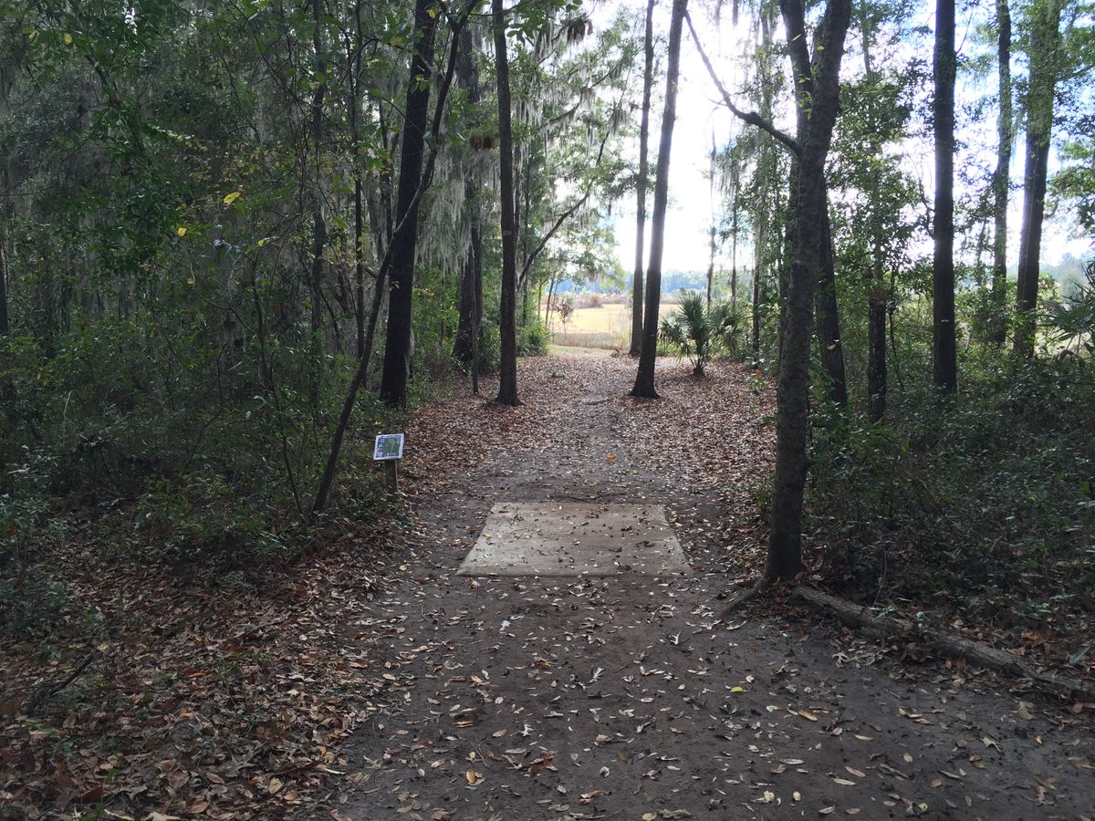 Hole 9