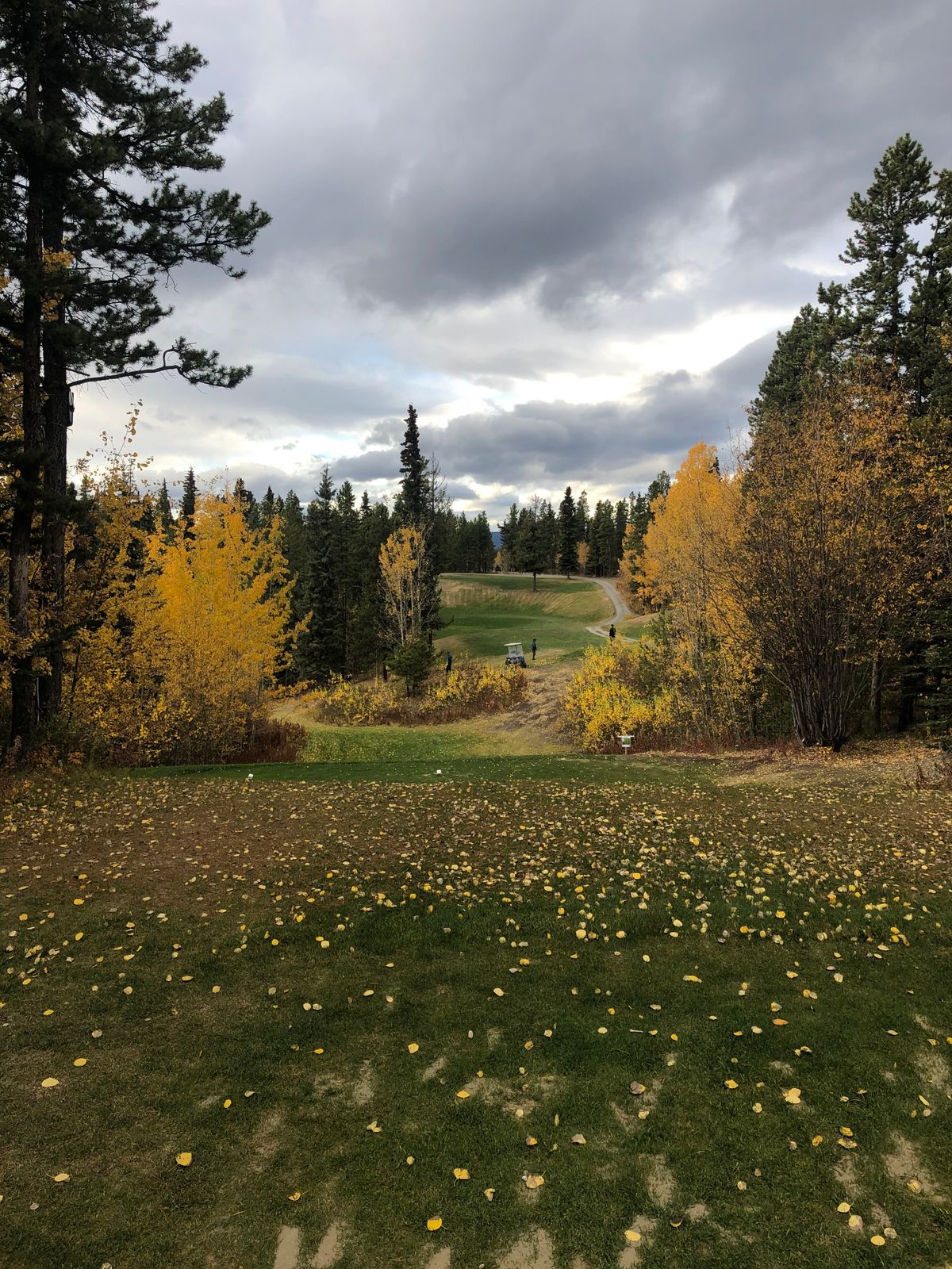 Hole 1